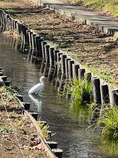 春はもうすぐ？
