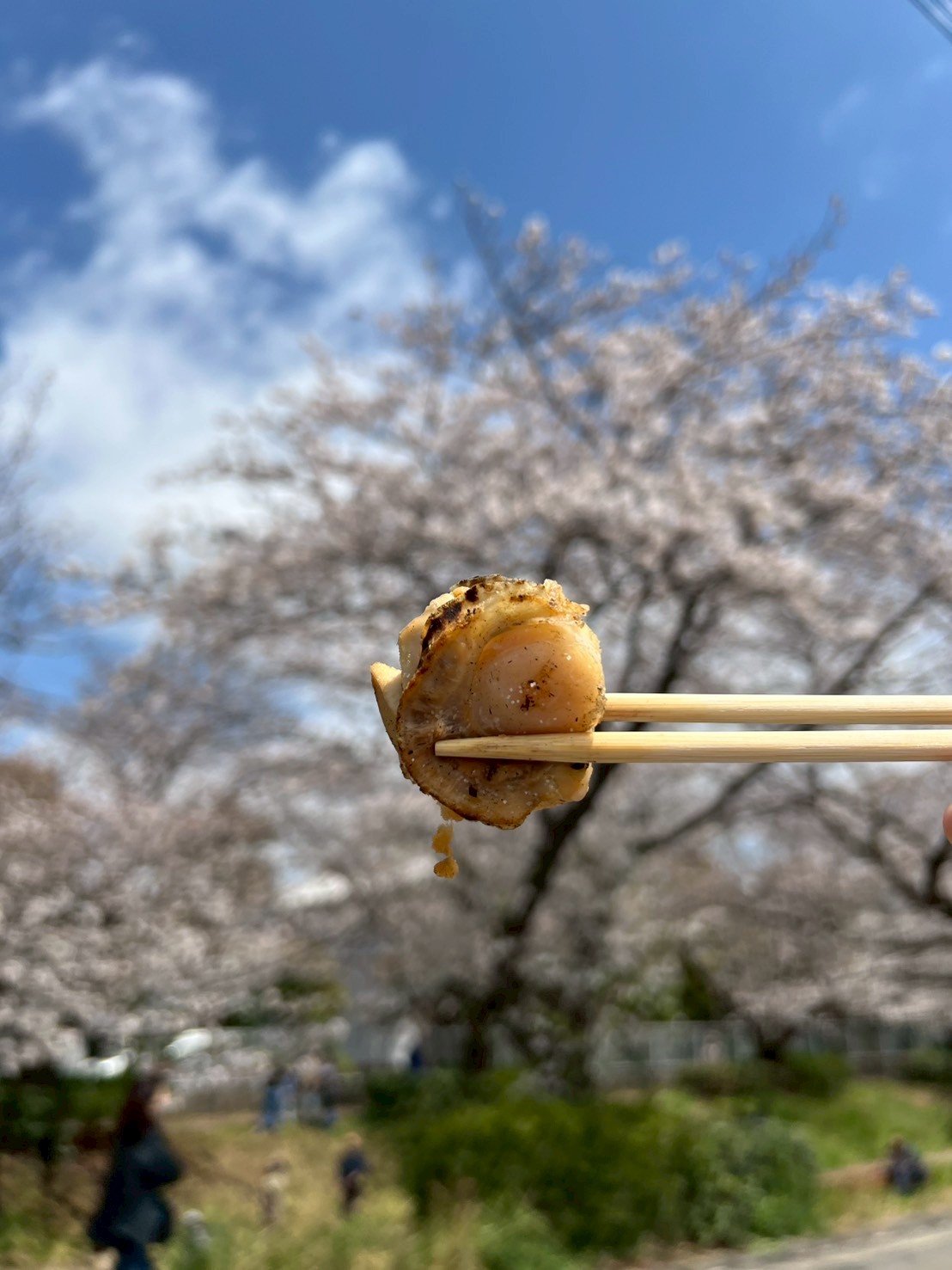 晴天に恵まれて